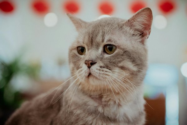 How is the UK's arts sector recovering from the impacts of COVID-19?